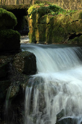 Similar image 8164496