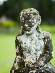 Similar image 8164498