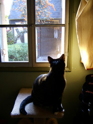 Similar image 8164503