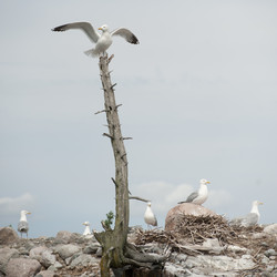 Similar image 8164511