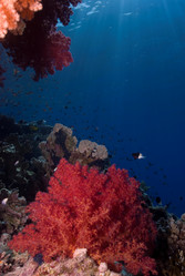 Similar image 8164516