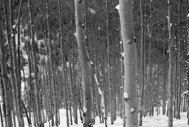 Similar image 8164519