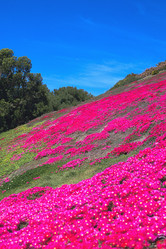 Similar image 8164543