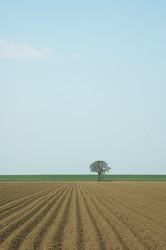 Similar image 8164546