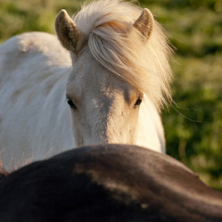 Similar image 8164552