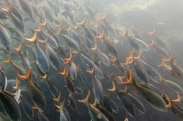 Similar image 8164554