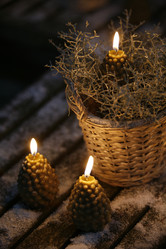 Similar image 8164557