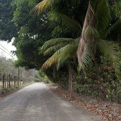 Similar image 8164567