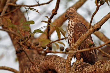 Similar image 8164573