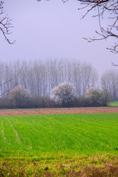 Similar image 8164579