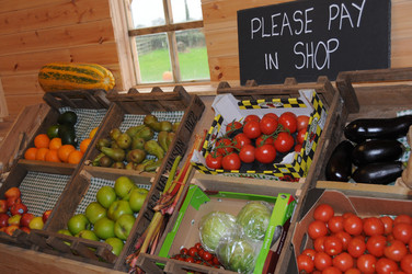 Similar image 8164581