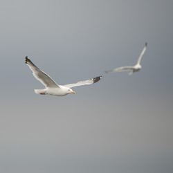 Similar image 8164582