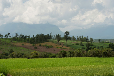 Similar image 8164590