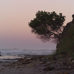 Similar image 8164591