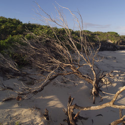 Similar image 8164595