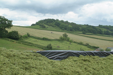 Similar image 8164599