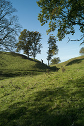 Similar image 8164600