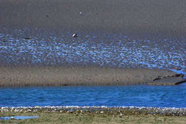 Similar image 8164617