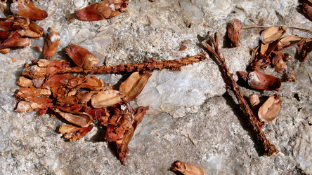 Similar image 8164618