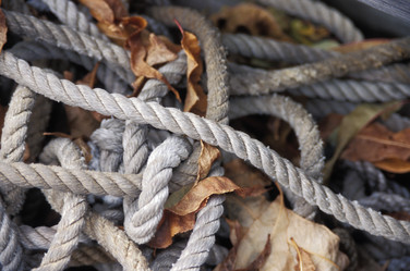 Similar image 8164621