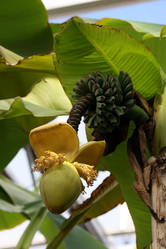 Similar image 8164626