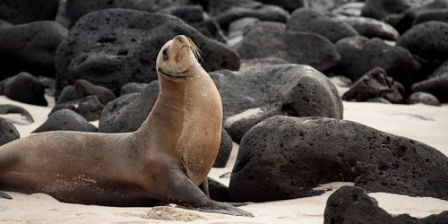 Similar image 8164634