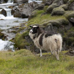 Similar image 8164635