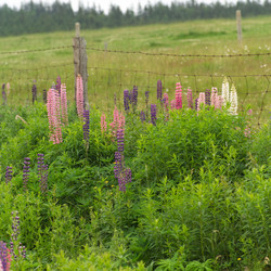 Similar image 8164640