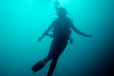 Similar image 8164669