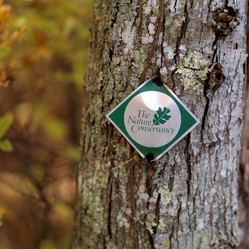 Similar image 8164681