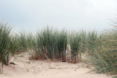 Similar image 8164689