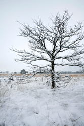 Similar image 8164691