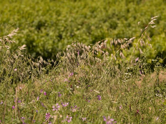 Similar image 8164698