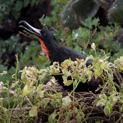 Similar image 8164700