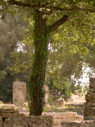 Similar image 8164705