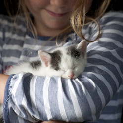 Similar image 8164707