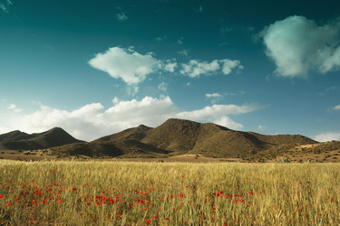 Similar image 8164732