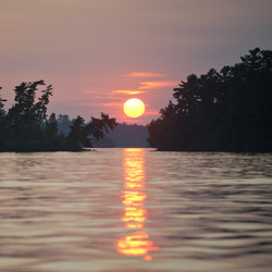 Similar image 8164739