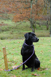 Similar image 8164747