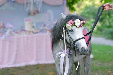 Similar image 8164764