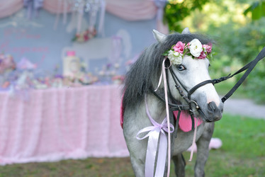 Similar image 8164765