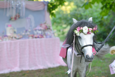 Similar image 8164766