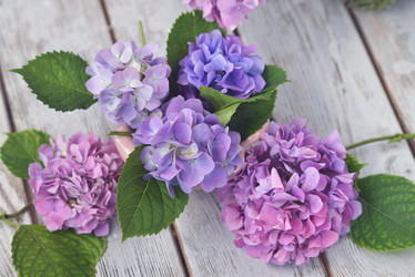 Similar image 8164770