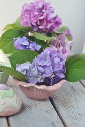 Similar image 8164775