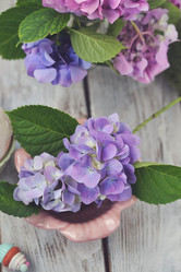 Similar image 8164777