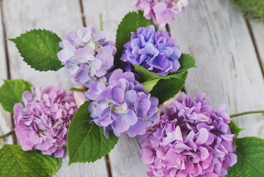 Similar image 8164778