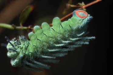 Similar image 8164780