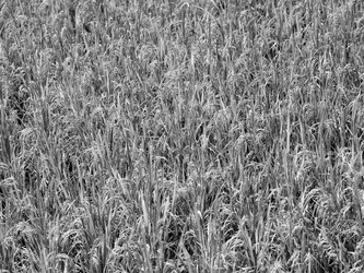 Similar image 8164784