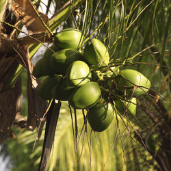 Similar image 8164788