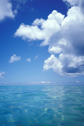 Similar image 8164789